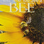 Next Time You See a Bee