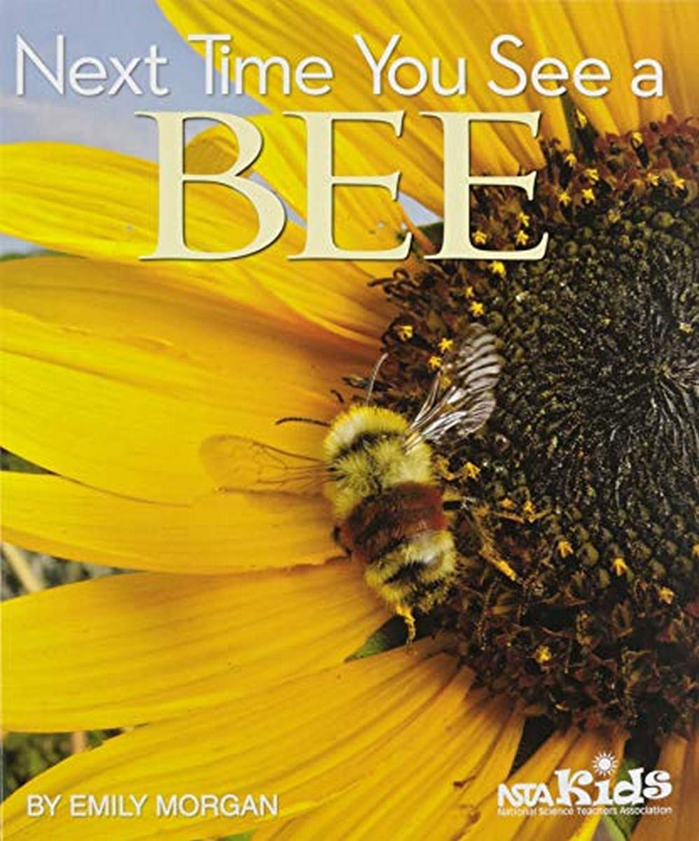 Next Time You See a Bee