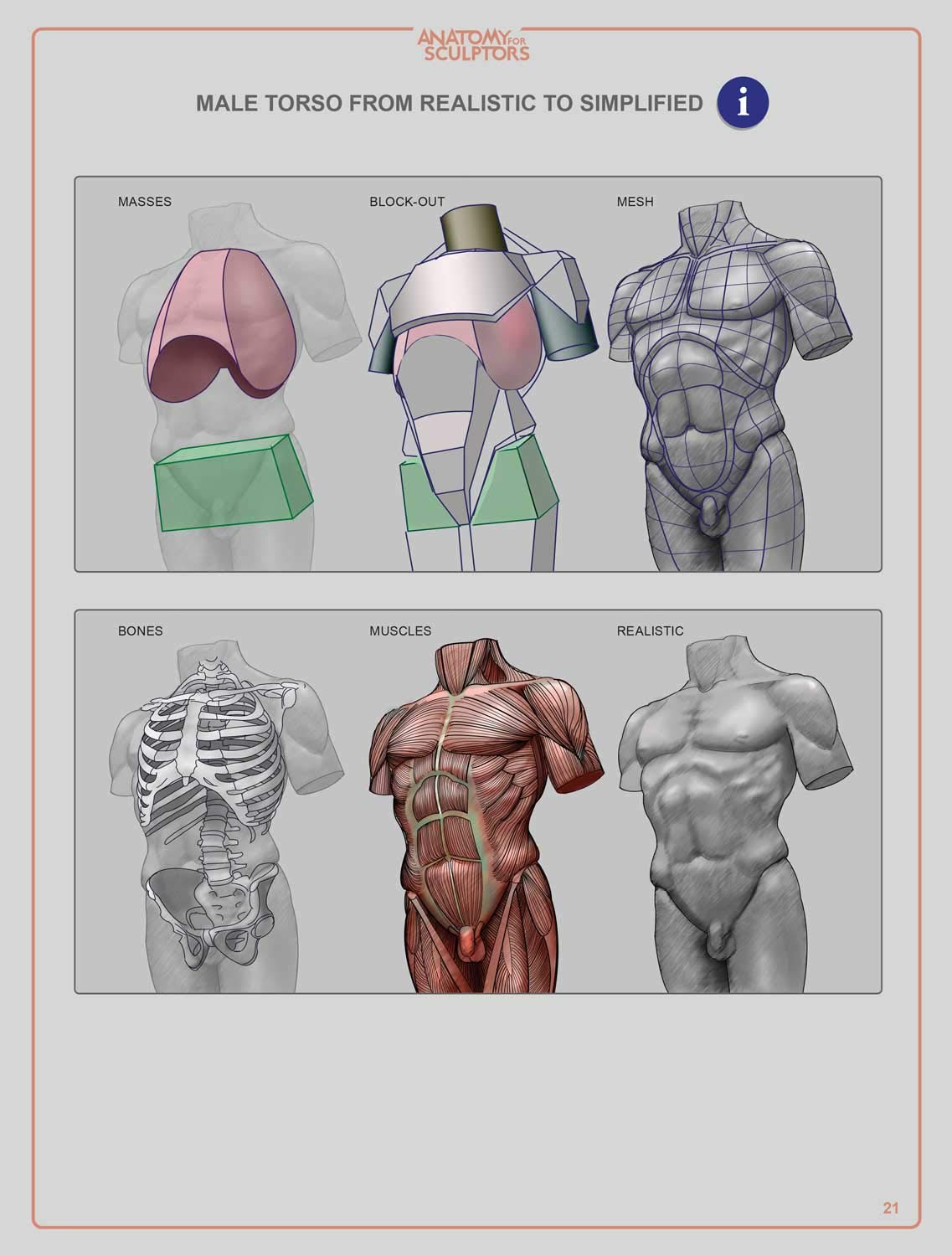 Anatomy For Sculptors, Understanding the Human Figure by Uld