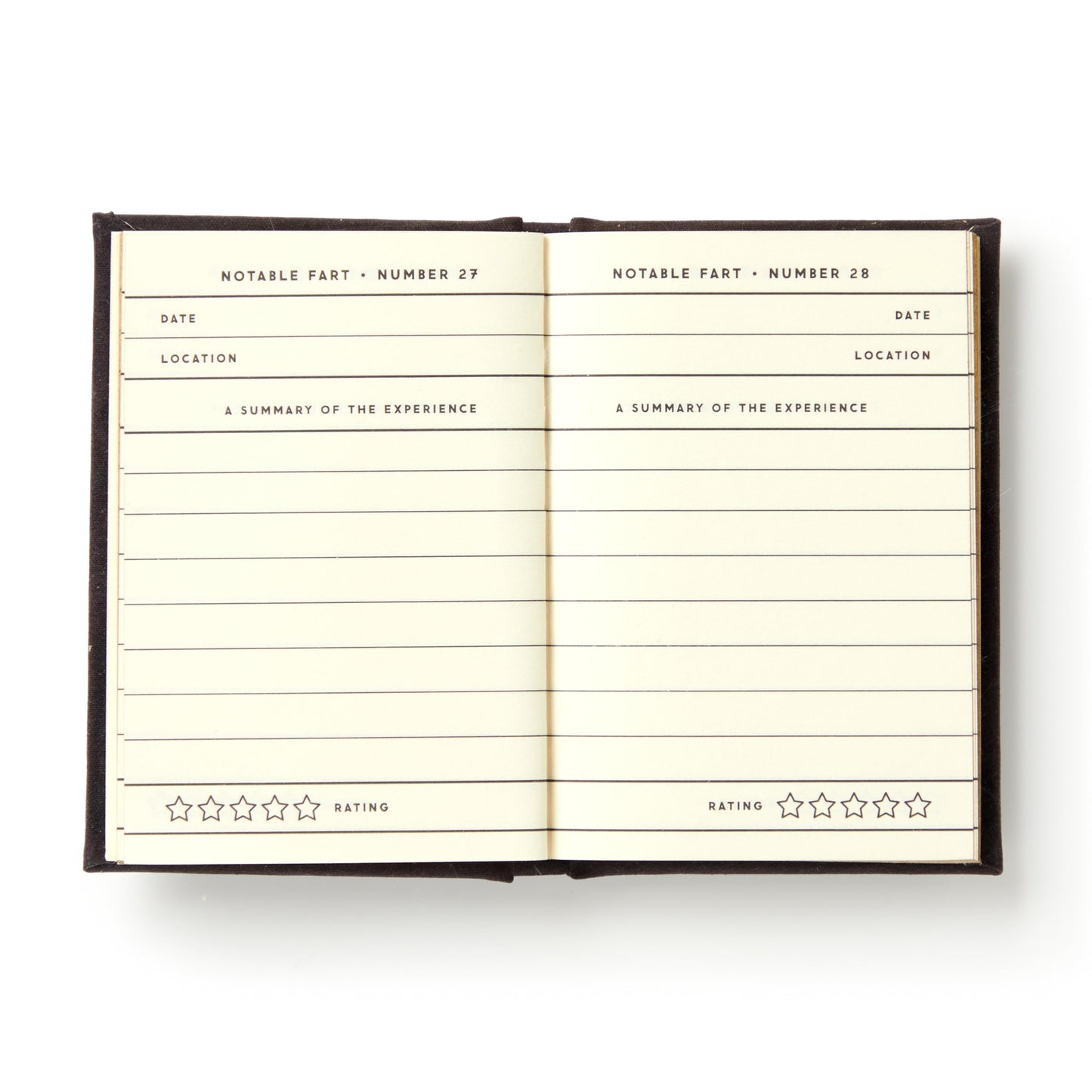 A Tiny Fart Diary (Tiny Diaries)