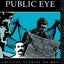 Men In The Public Eye (CRITICAL STUDIES ON MEN AND MASCULINITIES)