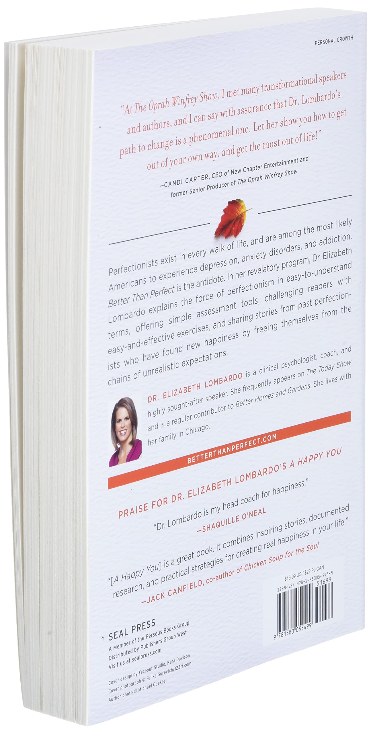 Better than Perfect: 7 Strategies to Crush Your Inner Critic and Create a Life You Love