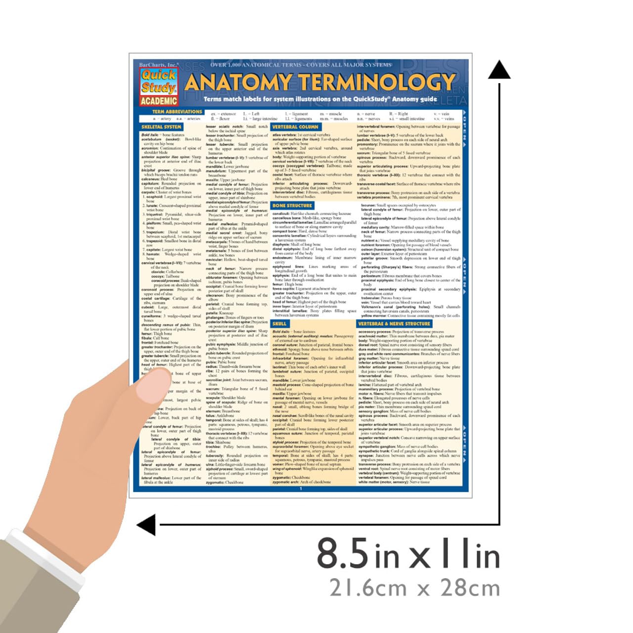 Anatomy Terminology Reference Guide: a QuickStudy Laminated Reference Guide (Quick Study Academic)
