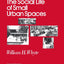 The Social Life of Small Urban Spaces