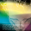 Visual Digital Culture (Sussex Studies in Culture and Communication)