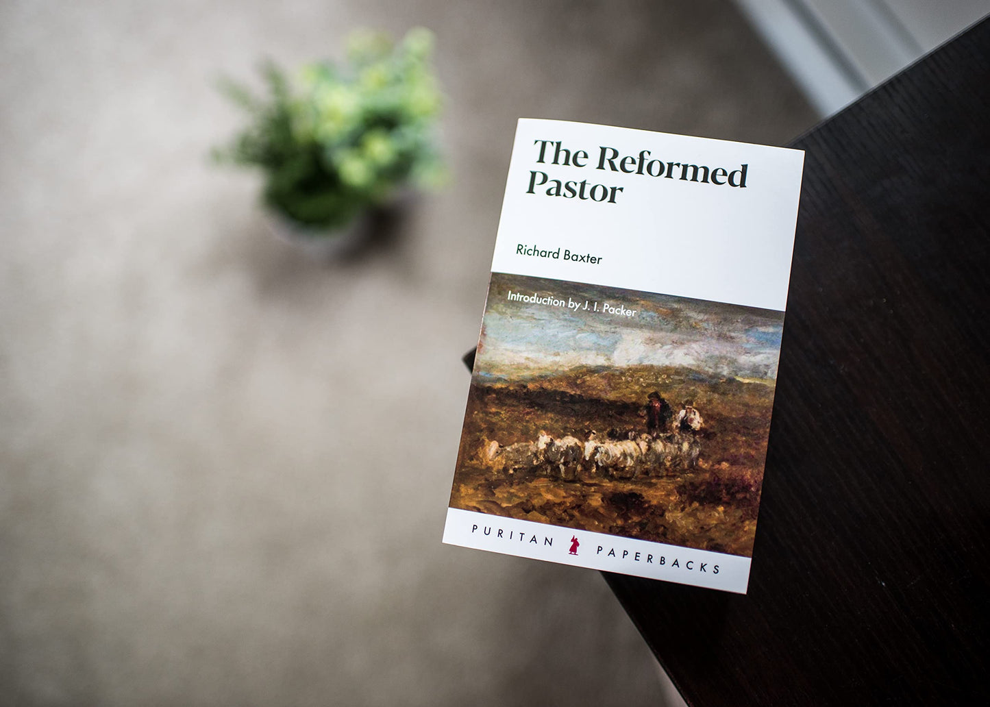Reformed Pastor (Puritan Paperbacks)