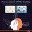 Physiologically Based Pharmacokinetic (PBPK) Modeling: Methods and Applications in Toxicology and Risk Assessment