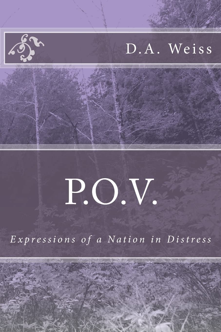 P.O.V.