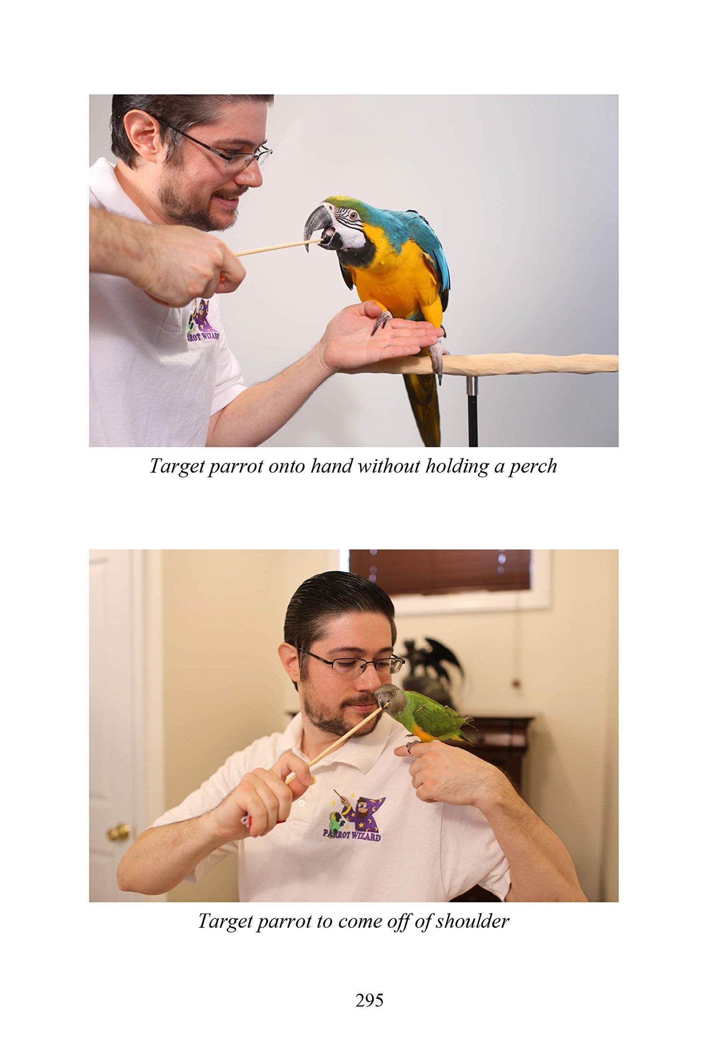 The Parrot Wizard's Guide to Well-Behaved Parrots 2nd Edition