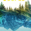 Back to the Gospel: Reviving the Church through the Message that Birthed It