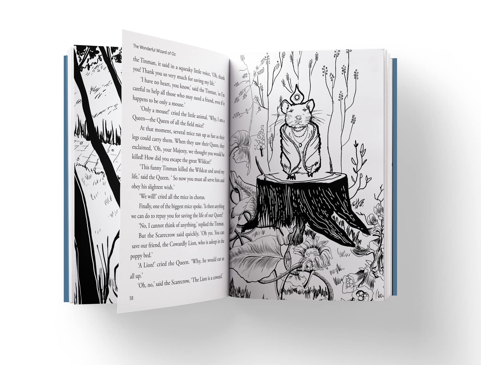 Wonderful Wizard of Oz : llustrated Abridged Children Classic English Novel with Review Questions (Hardback), The (Illustrated Classics)