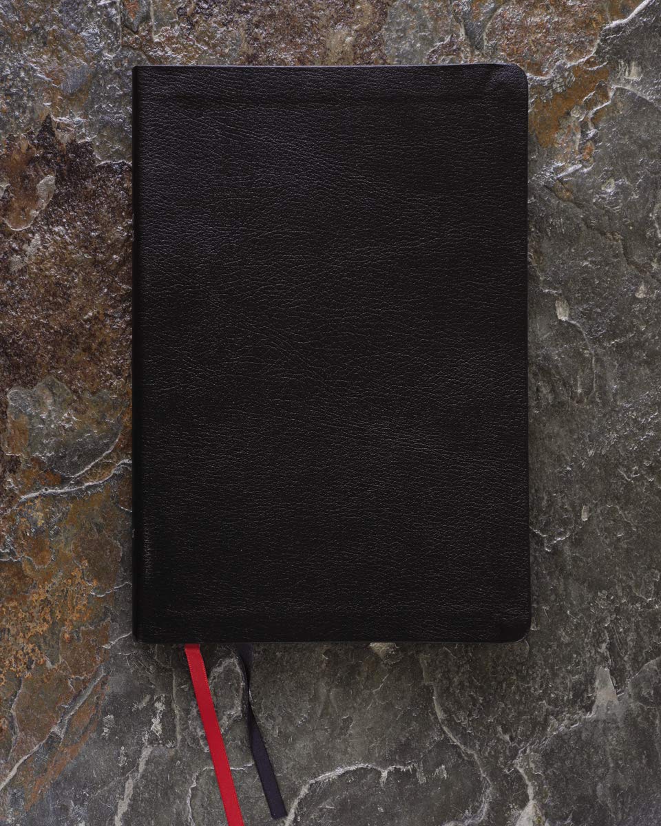 NIV, Thinline Bible, Large Print, Bonded Leather, Black, Red Letter, Thumb Indexed, Comfort Print