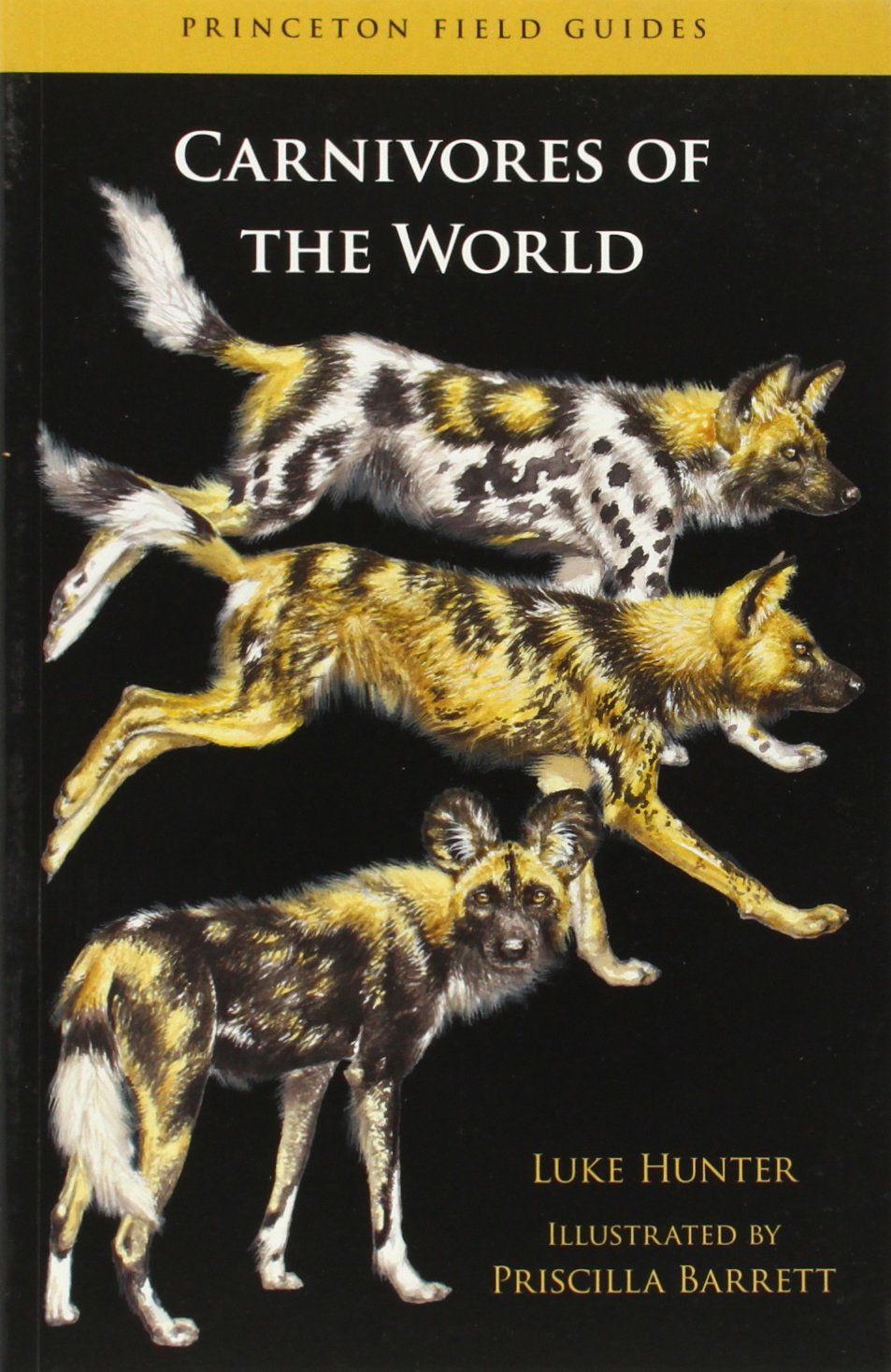 Carnivores of the World (Princeton Field Guides, 78)