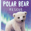 Little Polar Bear Rescue (Little Animal Rescue)