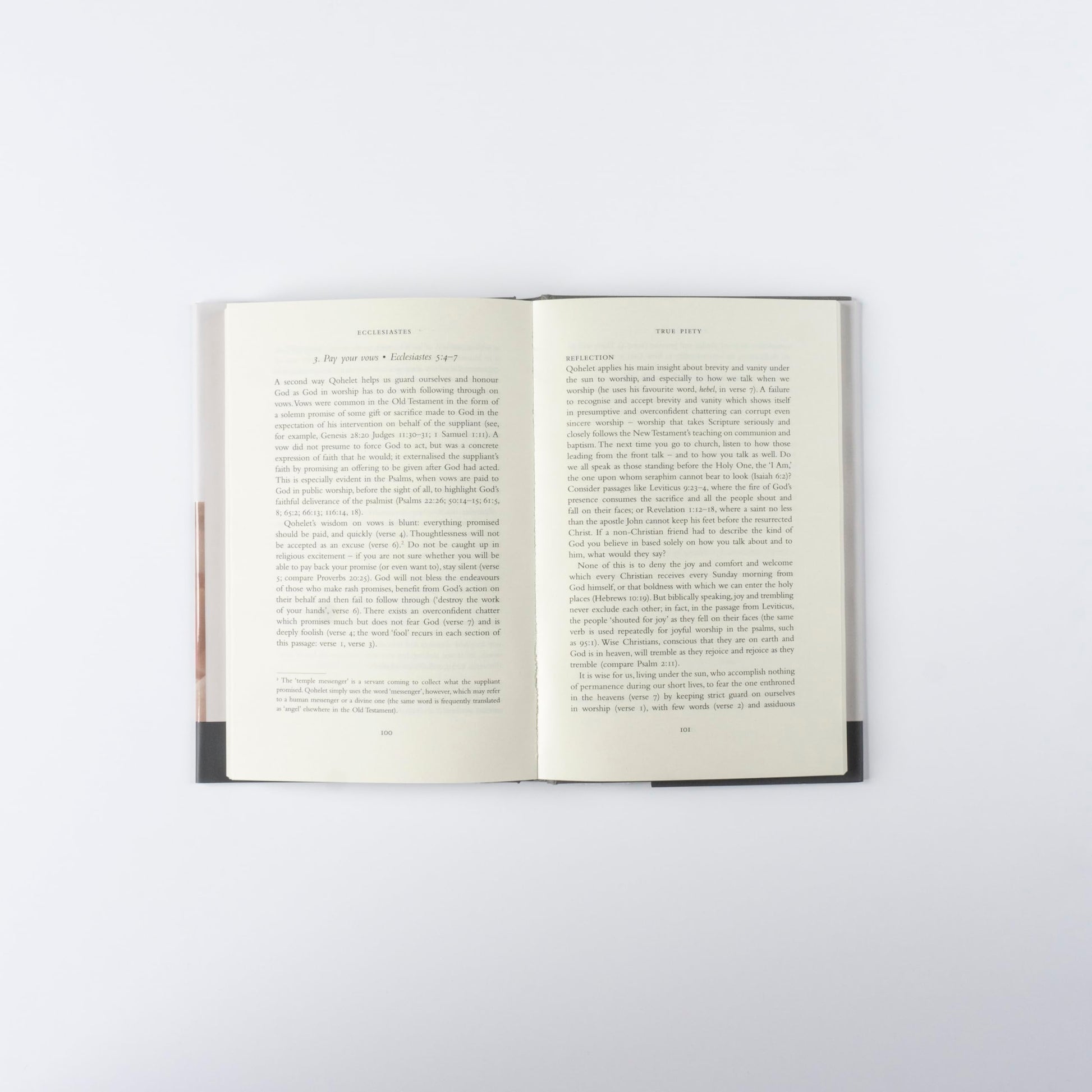 The Hodder Bible Commentary: Ecclesiastes