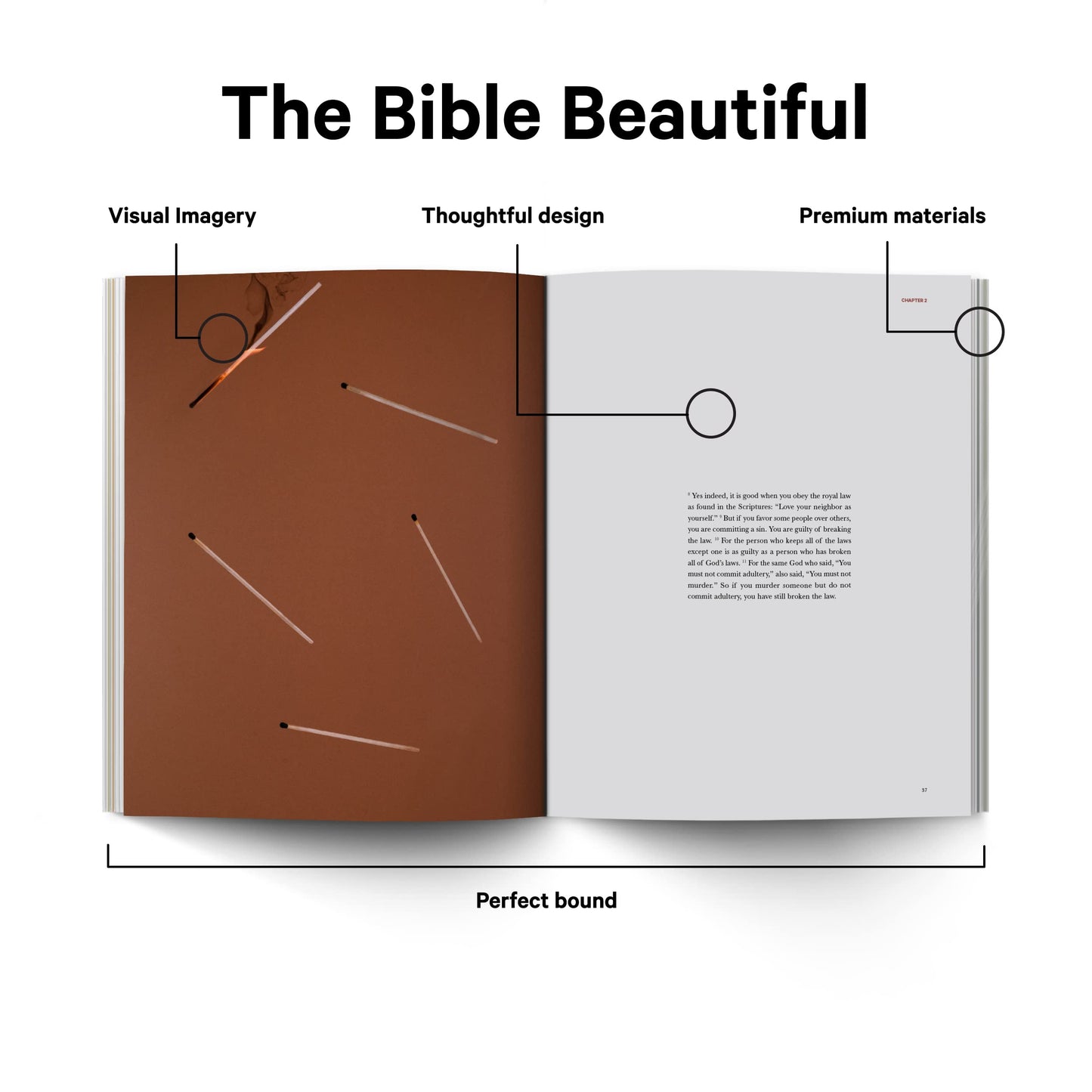 Book of James - Alabaster Bible