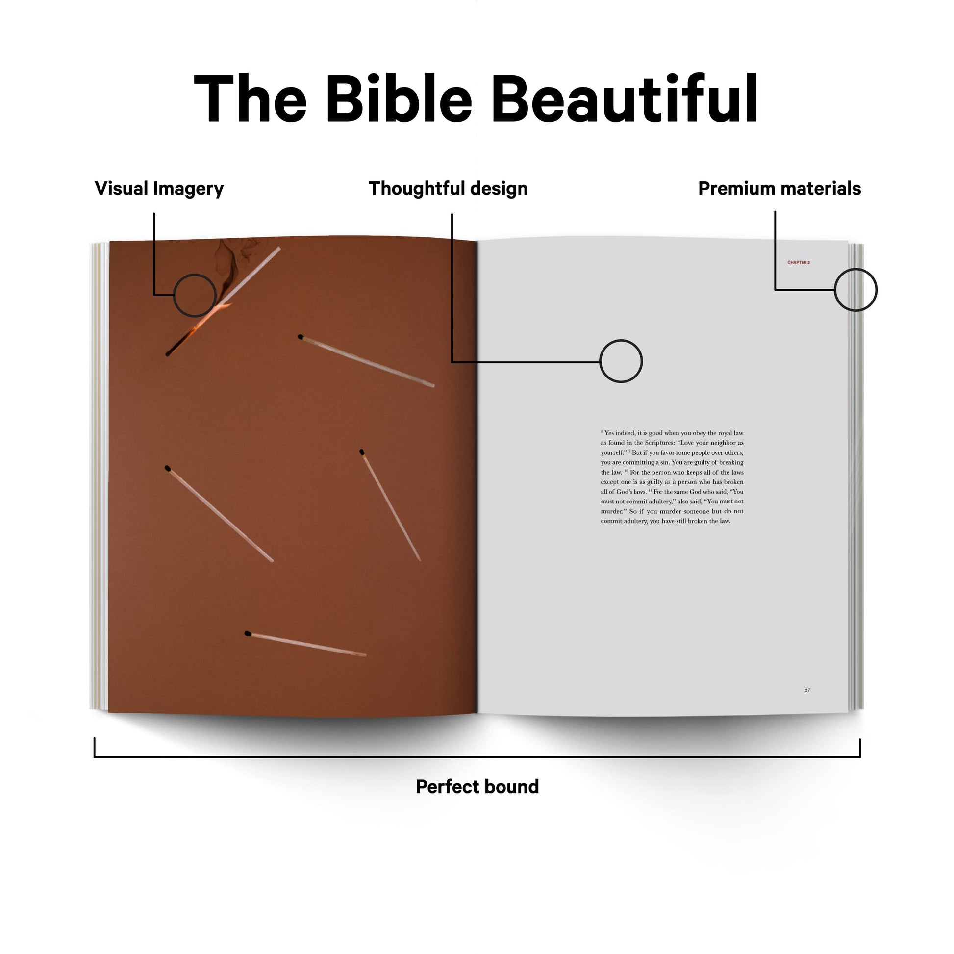 Book of James - Alabaster Bible