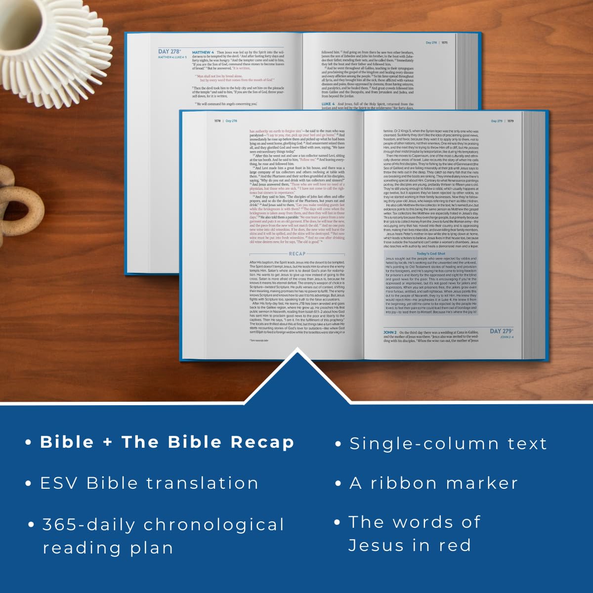 The Bible Recap 365-Day Chronological Study Bible: English Standard Version- ESV One Year Reading Plan