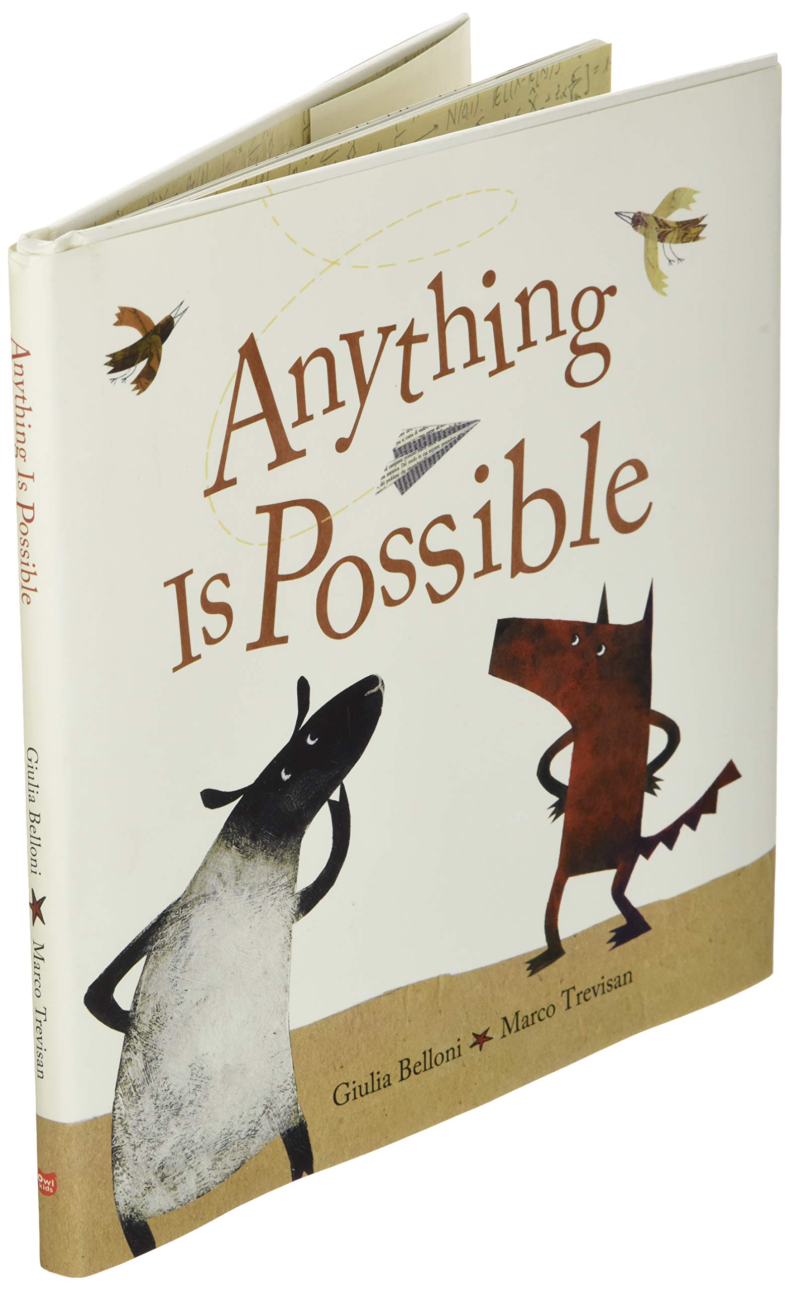 Anything Is Possible
