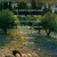 Luke in the Land - Bible Study for Women with Video Access: Walking with Jesus in His First-Century World