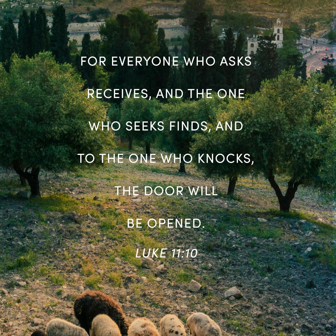 Luke in the Land - Bible Study for Women with Video Access: Walking with Jesus in His First-Century World