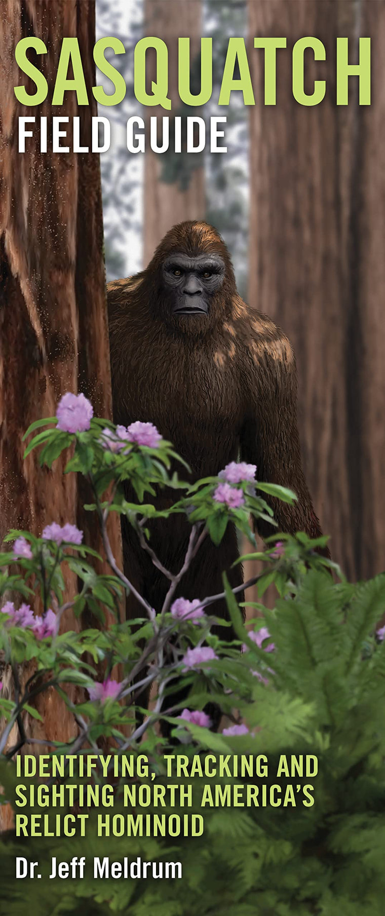 Sasquatch Field Guide by Meldrum, Jeff, Ph.D.