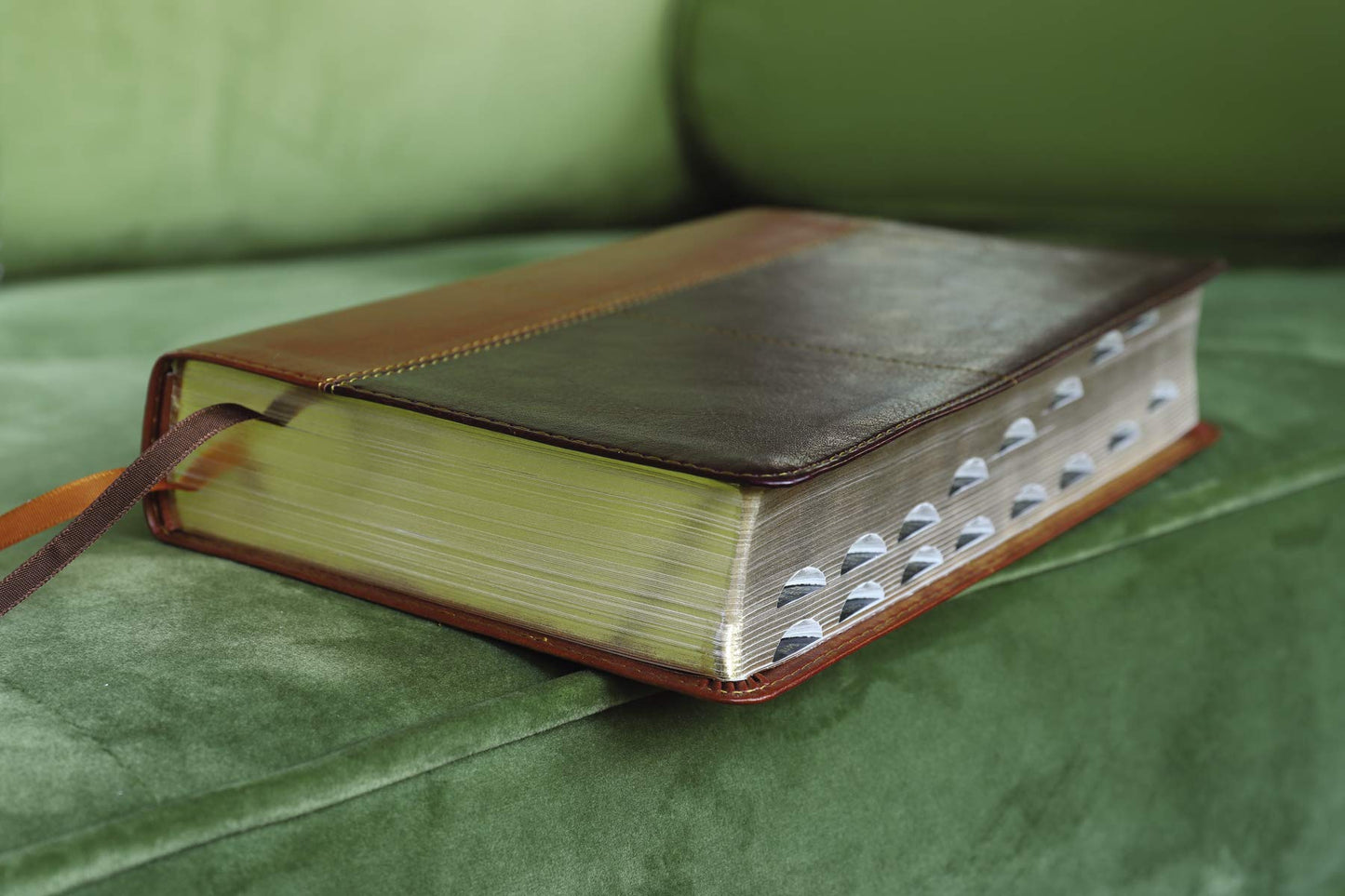 NIV, Personal Size Reference Bible, Large Print, Leathersoft