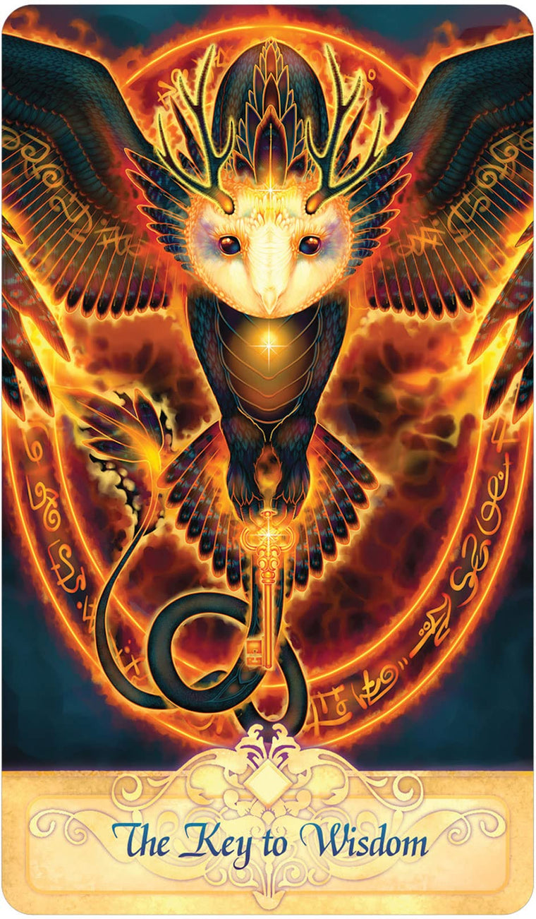 Seeker Oracle — back cover