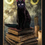The Halloween Oracle: Lifting the Veil between the Worlds Every Night