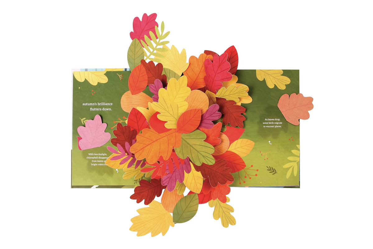 Leaves: An Autumn Pop-Up Book