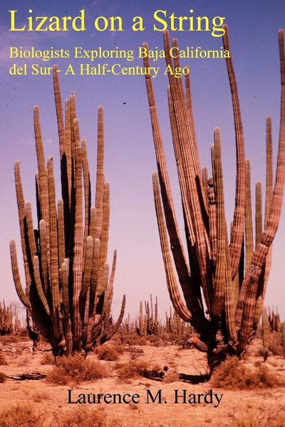 Lizard on a String: Biologists Exploring Baja California del Sur -- A Half Century Ago