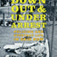 Down, Out, and Under Arrest: Policing and Everyday Life in Skid Row