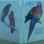 Edward Lear's Birds