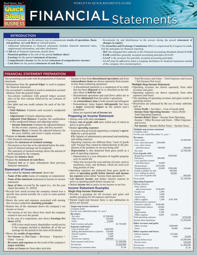 Financial Statements QuickStudy Laminated Reference Guide (QuickStudy Business)