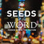 Seeds of the Word: Finding God in the Culture