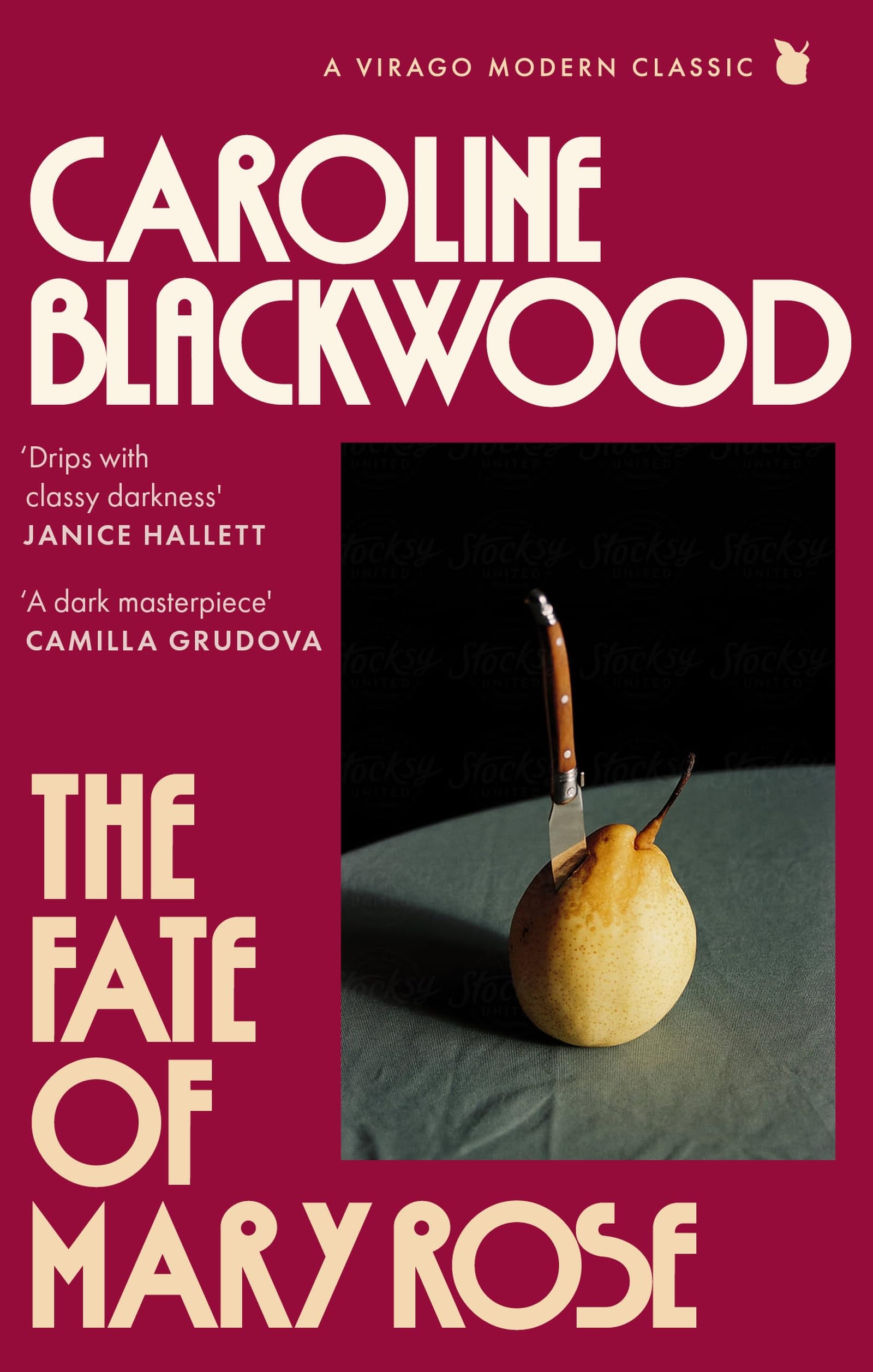 The Fate of Mary Rose: The rediscovered dark masterpiece for fans of Shirley Jackson (Virago Modern Classics)