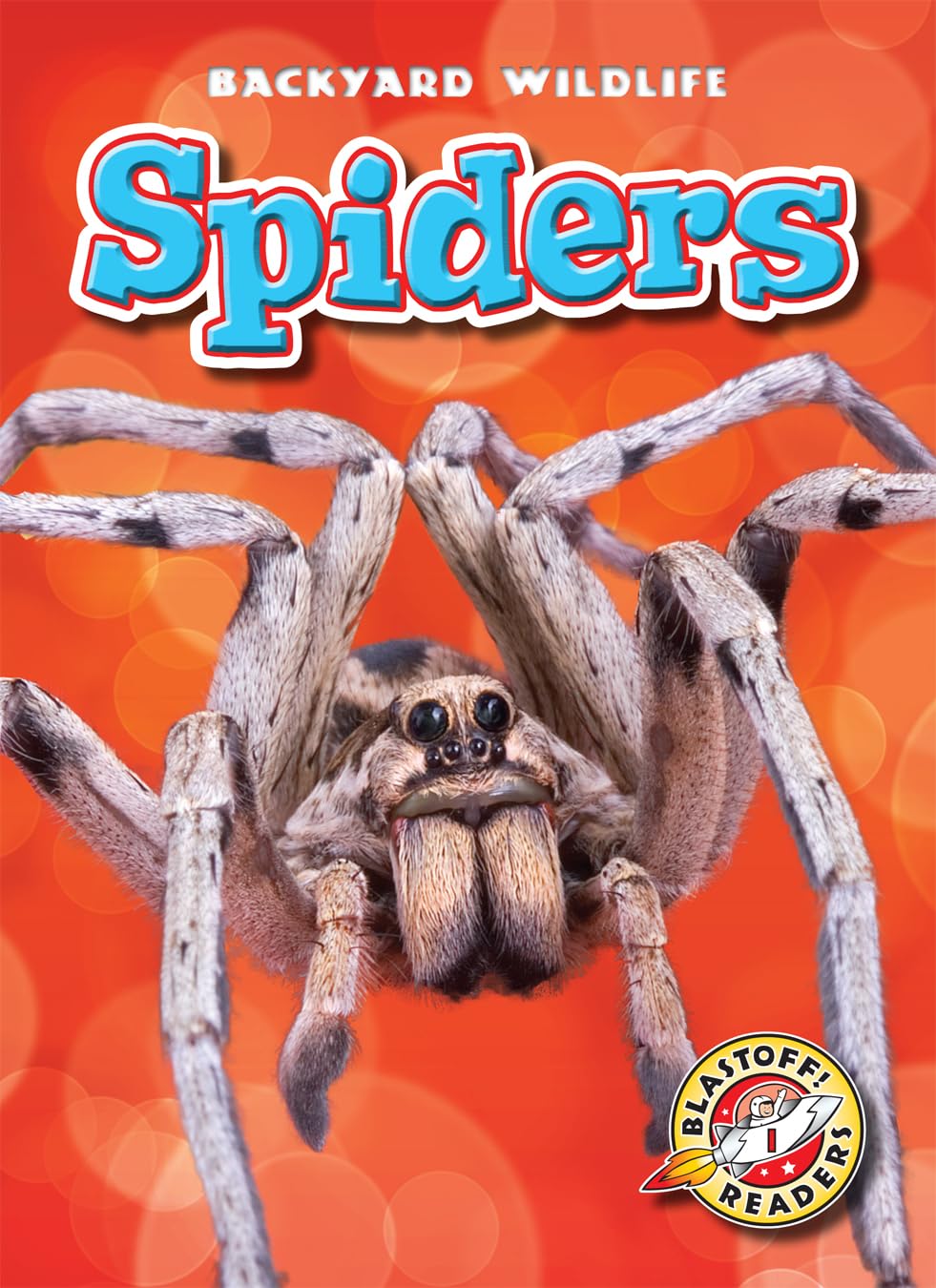 Spiders (Blastoff Readers. Level 1) (Backyard Wildlife)