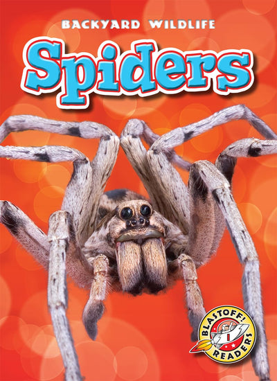 Spiders (Blastoff Readers. Level 1) (Backyard Wildlife)
