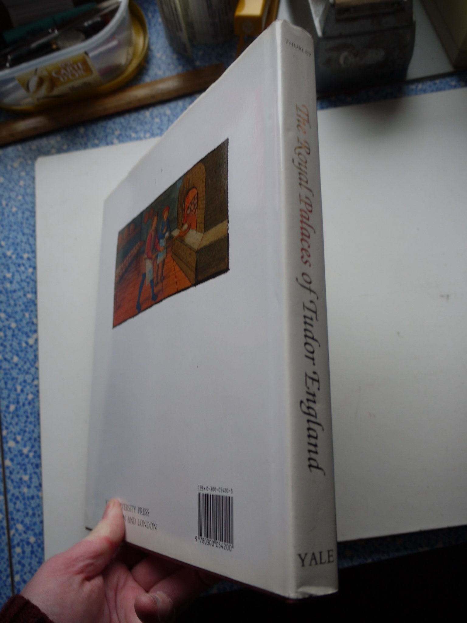 The Royal Palaces of Tudor England: Architecture and Court Life, 1460-1547 (Paul Mellon Centre for Studies in Britis)