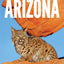 The Nature of Arizona, 2nd ed: An Introduction to Familiar Plants, Animals & Outstanding Natural Attractions