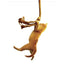 Save The Cat! The Last Book on Screenwriting You'll Ever Need