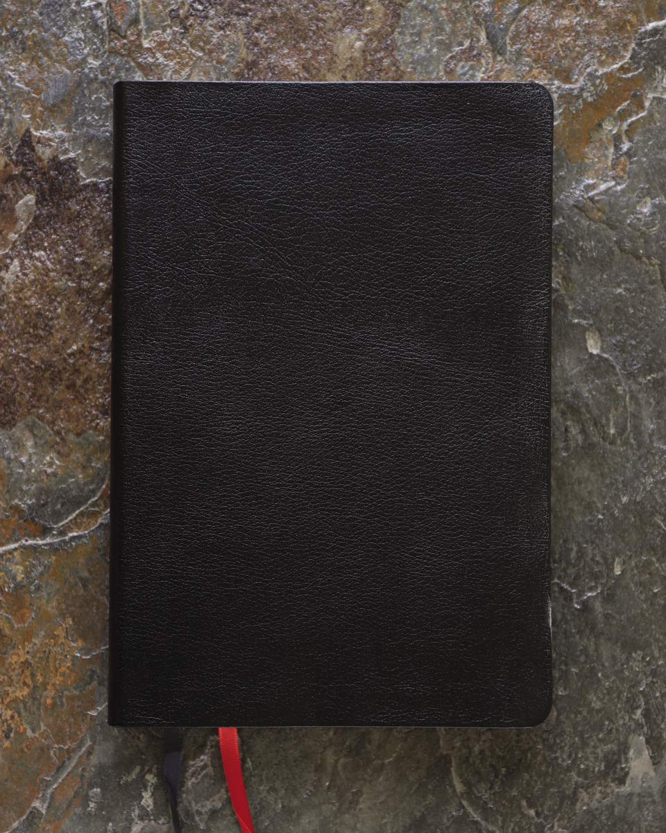 NIV, Thinline Bible, Giant Print, Bonded Leather, Black, Red Letter, Thumb Indexed, Comfort Print