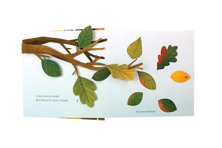 Leaves: An Autumn Pop-Up Book — back cover