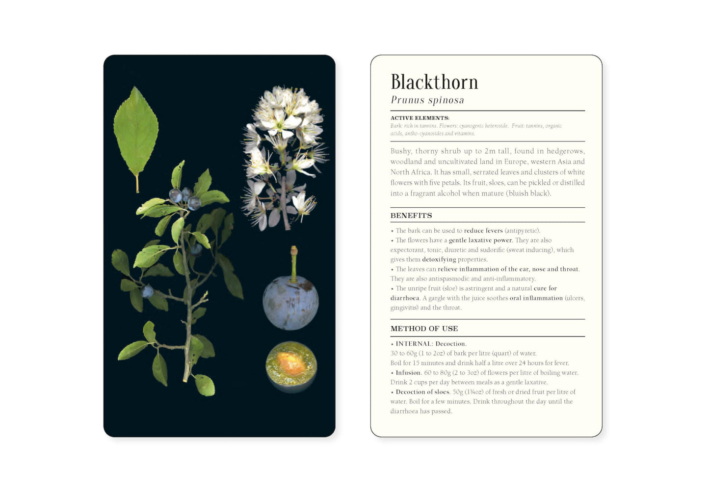 50 Plants that Heal: Discover Medicinal Plants - A Card Deck
