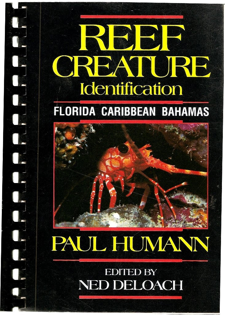 Reef Creature Identification: Florida Caribbean Bahamas