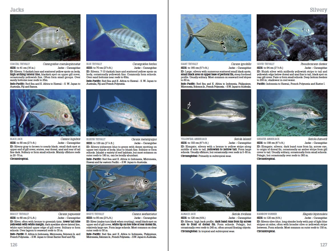 Reef Fish Identification Tropical Pacific 2nd Edition