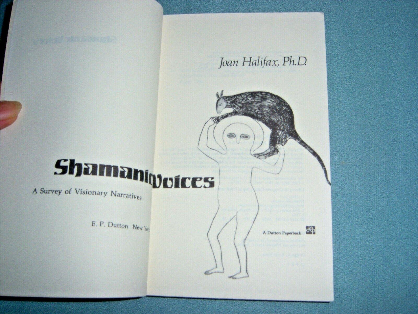 Shamanic Voices: A Survey of Visionary Narratives