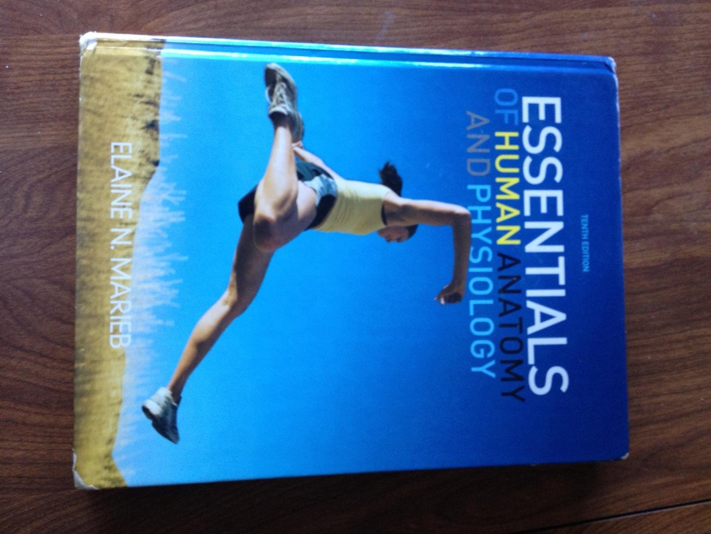 Essentials of Human Anatomy and Physiology