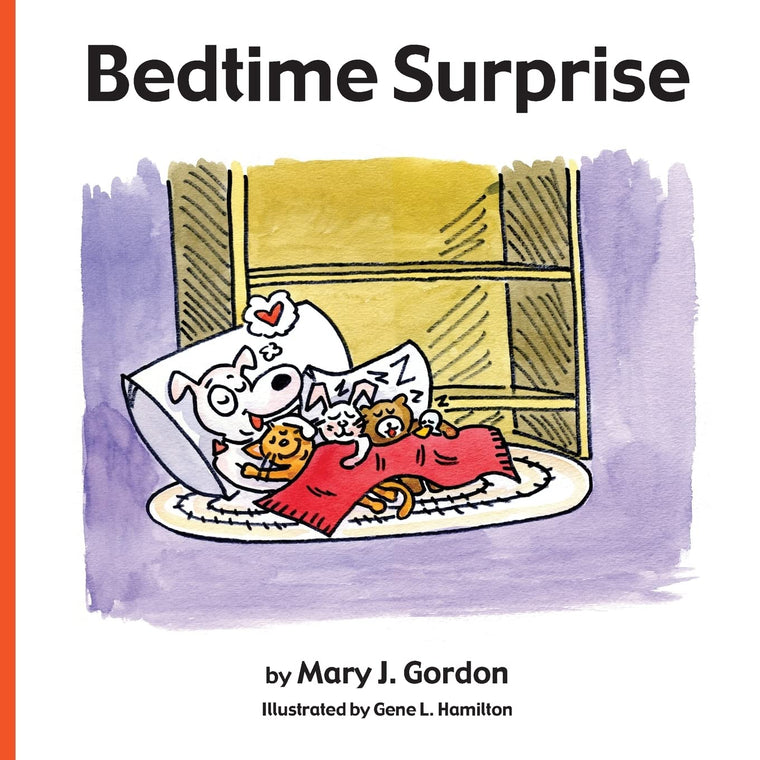Bedtime Surprise