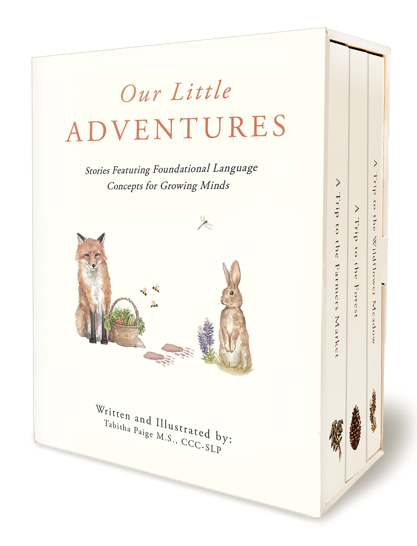 Our Little Adventures: Stories Featuring Foundational Language Concepts for Growing Minds (Tabitha Paige Children's Book Series)
